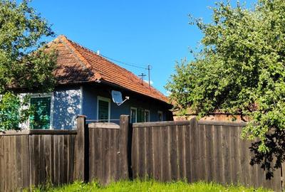 Casă cu 2 camere în Băcel - 6
