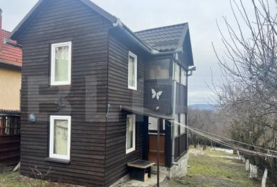 Cabana de lemn- Vatmani - 6