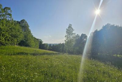 TEREN DE VANZARE APROAPE DE PADURE TEREN DE VANZARE APROAPE DE PADURE - 15