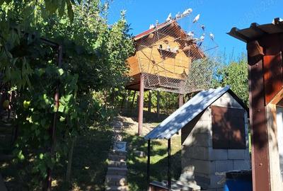 Casă cu 6 camere cu Teren 7200 Mp în Cătămărești