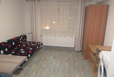 PROPRIETAR, inchiriez garsoniera in buziasului - 3