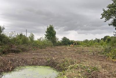 Teren de 5000 mp, în Sacoșu Mare - 3