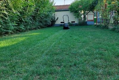 Casa de vanzare Oituz 59 - 9