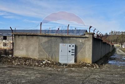 Teren de 1729 mp, în Teliu - 3