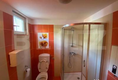 Spațiu comercial, de 58 mp, în Rovine - 3