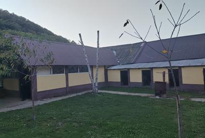 Gospodarie lângă Deva - 5