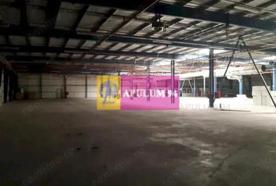 Spațiu comercial, de 4,850 mp, în 1 Decembrie - 7