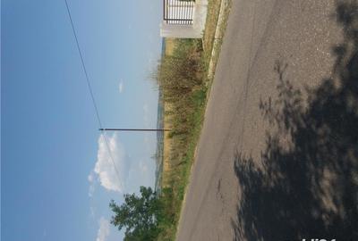 Teren de 5000 mp, în Pleașa - 3