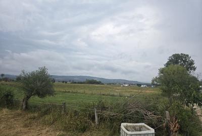 Teren intravilan RASNOV - 6