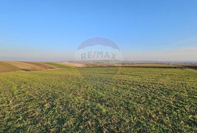 Teren agricol extravilan de 10200 mp, în Stroiești - 8