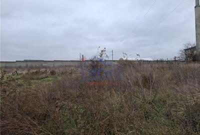 Teren Construcții intravilan de 600 mp, în Brănești - 2