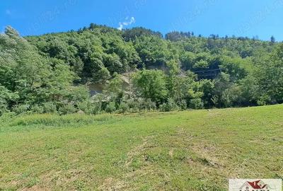 Casa de vanzare in zona Vintu cu 10.790 mp teren - 11