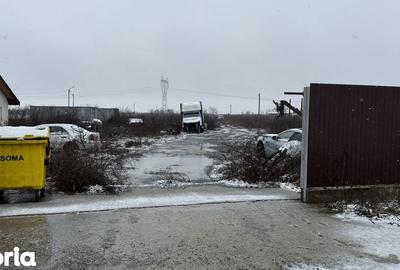 Teren de 22000 mp, în Letea Veche - 3