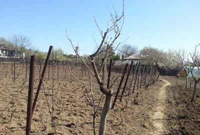 Casă cu 3 camere în Bugeac - 7