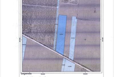 Teren de 7017 mp, în Vlădiceasca - 3