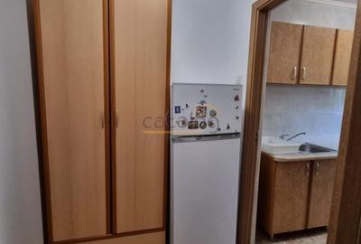 Apartament cu 2 camere semidecomandat, mobilat în Drumul Taberei - 8
