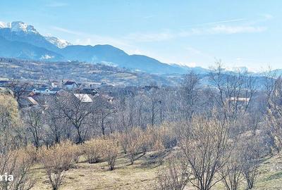 Spațiu comercial, în Predeluț - 6