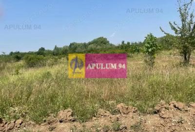 Teren de 1000 mp, în Domnești - 2