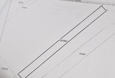 Teren agricol extravilan de 3500 mp, în Burila Mare - 2