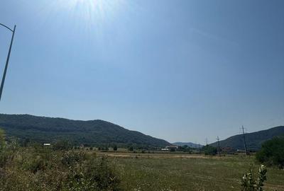 Spațiu comercial, în Jiblea Nouă - 5