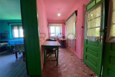 Casă cu 2 camere cu Teren 7927 Mp în Damiș - 4