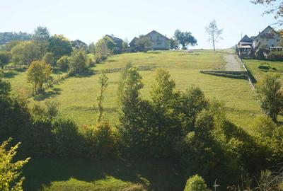 Teren de 2969 mp, în Măgura - 4