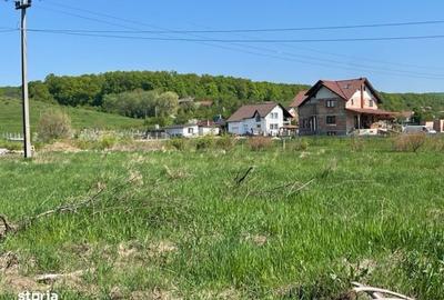 Teren de 1000 mp, în Central