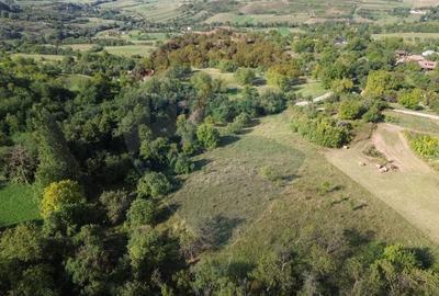 Teren Construcții intravilan de 16500 mp, în Măgureni - 5