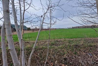 Teren de 3600 mp, în Izvorani - 2