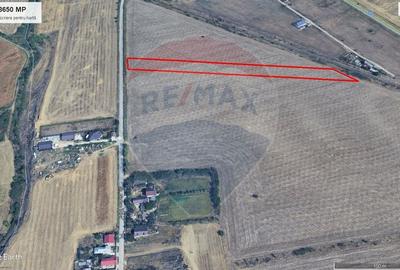 Teren intravilan 8.650 mp de vanzare Cernica acces rapid A2/A0 - 12