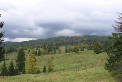 Teren de 1634 mp, în Valea Râșnoavei - 3
