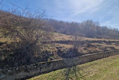 Teren agricol extravilan de 3664 mp, în Cuvin - 3