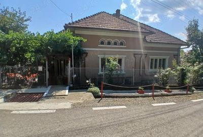 Casă cu 3 camere cu Teren 11000 Mp în Nadiș - 9