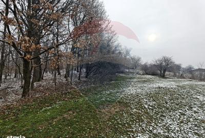 Spațiu comercial, în Hovrila - 4