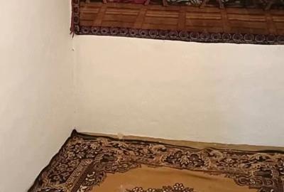 Casă cu 4 camere cu Teren 3500 Mp în Podgoria - 8