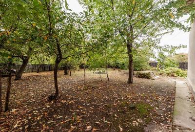 Casa traditionala la tara in Gliganu de Jos Com. Rociu-Arges la 30 km de Pitesti - 6