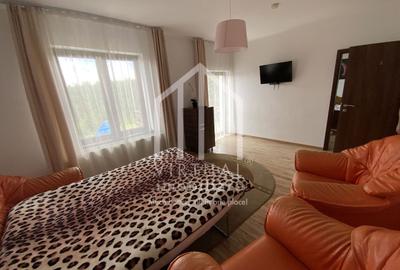 Pensiune de vanzare in Paltinis- Locatie deosebita- Afacere la cheie - 35