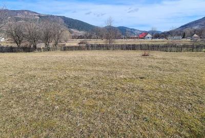 Teren de 6710 mp, în Stejaru (Pângărați)