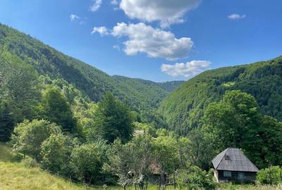 Casă cu 2 camere în Abrud - 4