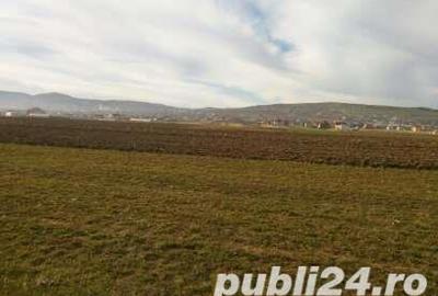 Teren de 600 mp, în Central - 4