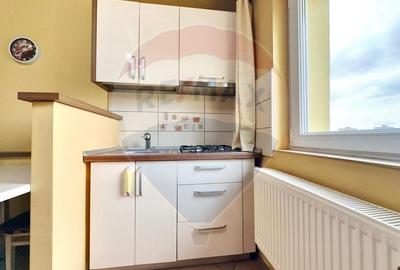 Apartament cu 2 camere de vanzare in zona Aradului - 8