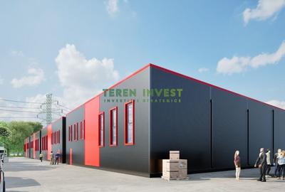 Teren Construcții intravilan de 1500 mp, în Frumușani - 2