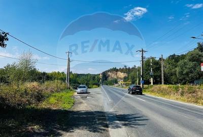 Casă / Vilă in constructie teren 3240 mp - 4