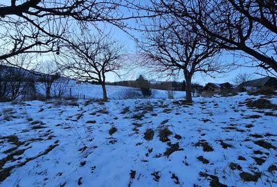 Casă cu 6 camere cu Teren 2803 Mp în Central - 30