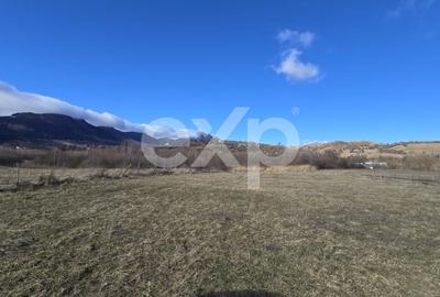 Teren Construcții intravilan de 4059 mp, în Bran - 1