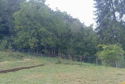 Casa rustica cu semineu,1.100mp teren, priveliste,padure:ref - 6