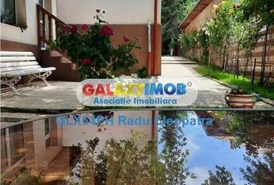 Comision 0! Vila deosebita cu iesire la padure, Sp+P+1E+M , Plopeni - 3