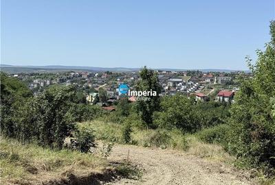 Teren de vanzare Copou - Viticultori - 5