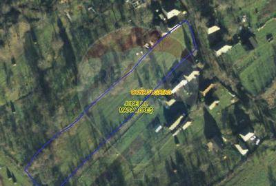 Teren in cea mai turistica localitate din Romania - Breb... Teren in cea mai turistica localitate din Romania - Breb... - 12