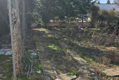 Casă cu 2 camere cu Teren 382 Mp în Botizului - 2